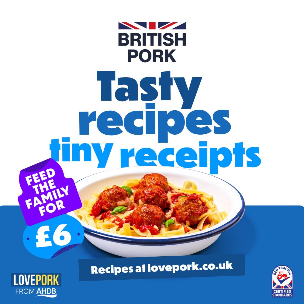 Tasty recipes tiny receipts graphic with bowl of meatballs.